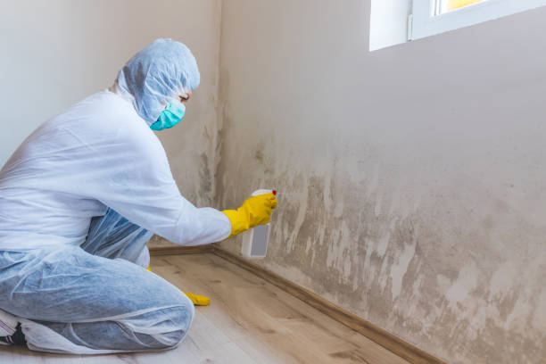 Asbestos and Lead Testing During Mold Inspection in Colorado Springs, CO