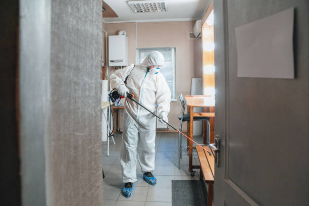 Best Dehumidification Services  in Lorado Springs, CO