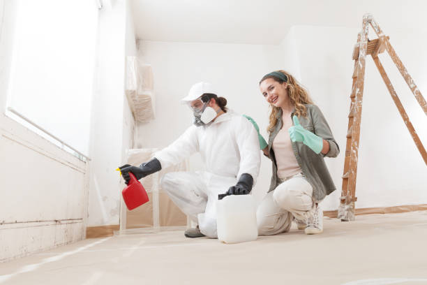 Best Biohazard Mold Removal  in Lorado Springs, CO
